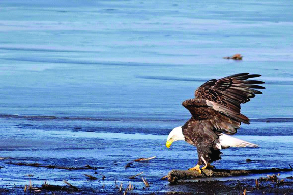 Eagle Update January 2020 - Kansas State School for the Blind